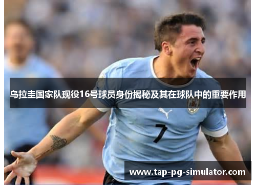乌拉圭国家队现役16号球员身份揭秘及其在球队中的重要作用
