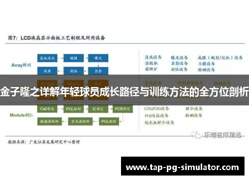 金子隆之详解年轻球员成长路径与训练方法的全方位剖析 金子隆之详解年轻球员成长路径与训练方法的全方位剖析