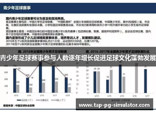 青少年足球赛事参与人数逐年增长促进足球文化蓬勃发展 青少年足球赛事参与人数逐年增长促进足球文化蓬勃发展
