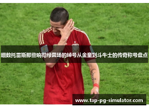 细数托雷斯那些响彻绿茵场的绰号从金童到斗牛士的传奇称号盘点