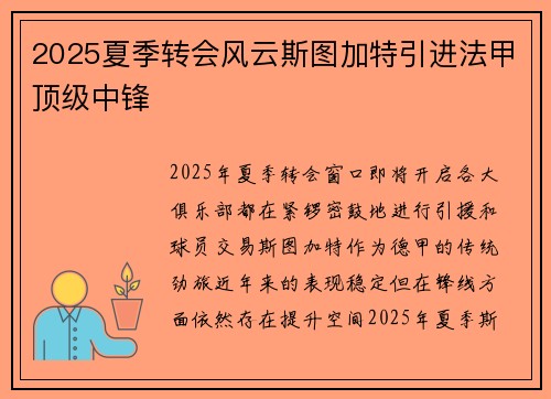 2025夏季转会风云斯图加特引进法甲顶级中锋 2025夏季转会风云斯图加特引进法甲顶级中锋
