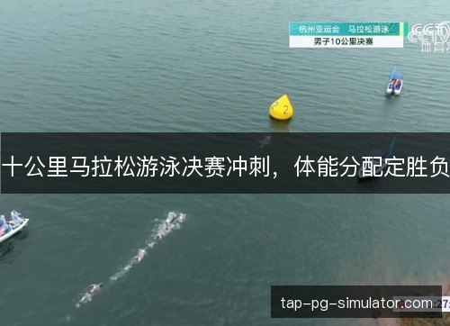 十公里马拉松游泳决赛冲刺，体能分配定胜负